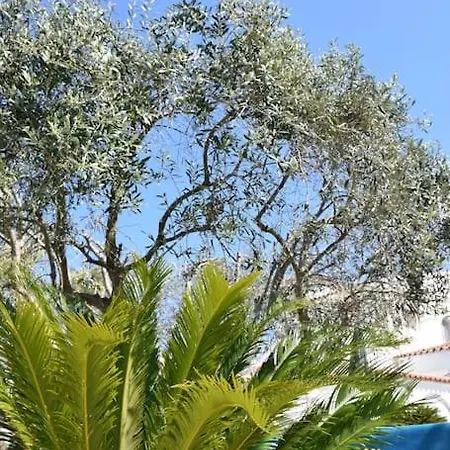 'casa Empuria' Aan Kanaal Met Zwembad En Aanlegsteiger וילה